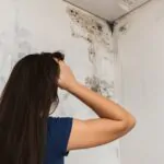 як вивести грибок зі стін назавжди